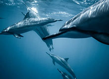 kaiyun-中国男足继续排名世界第93位